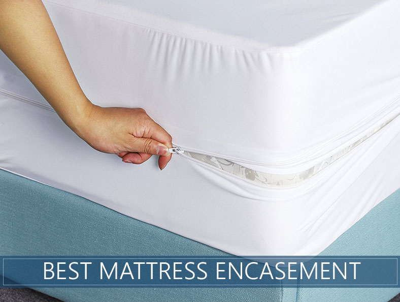 bed bug mattress covers