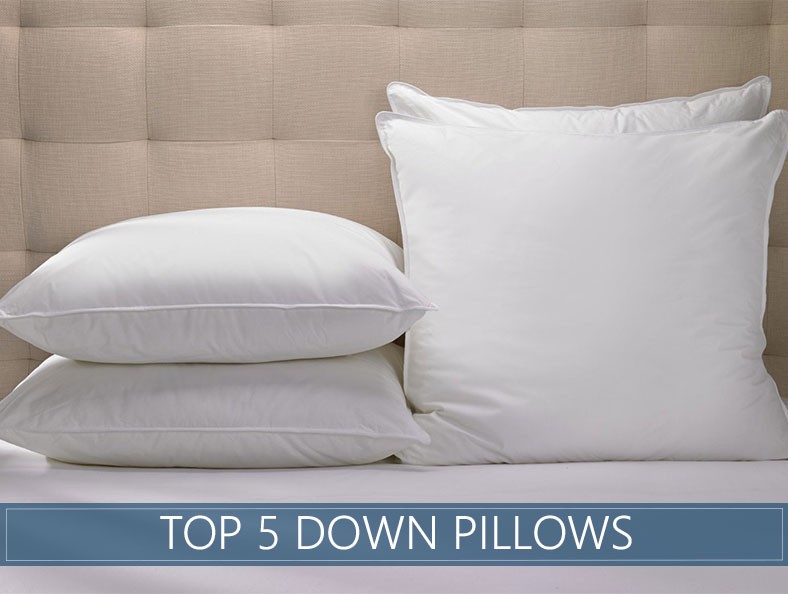 The 5 Highest Rated Down Pillows Available in 2020 Reviews & Ratings