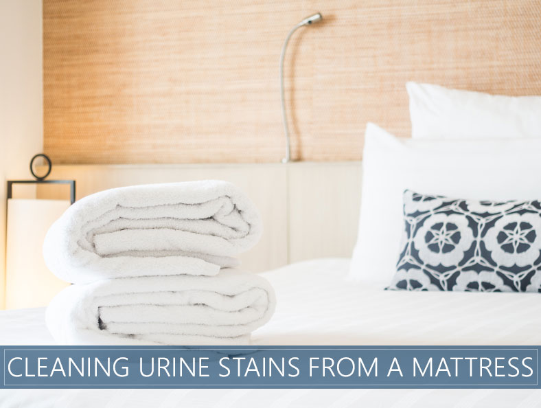 How To Clean Urine Mattress