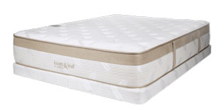 loom and leaf firm mattress reviews