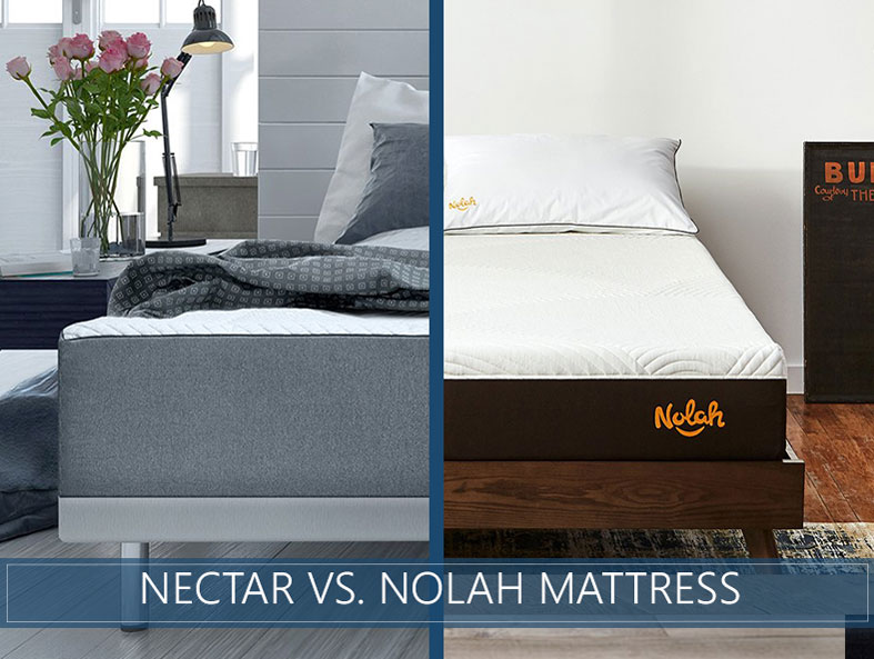 nectar bed vs purple