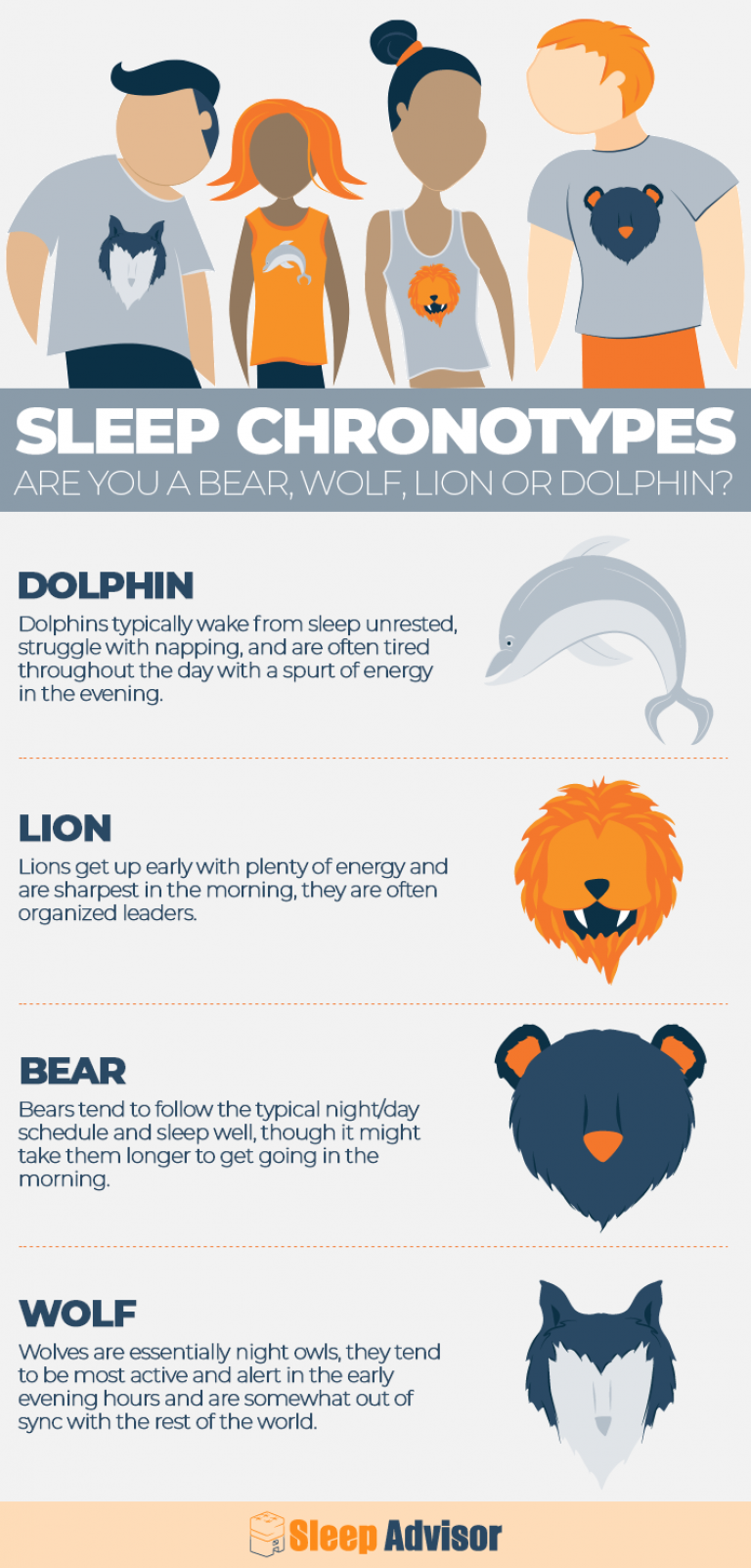 Chronotypes Definition And Types I Sleep Advisor