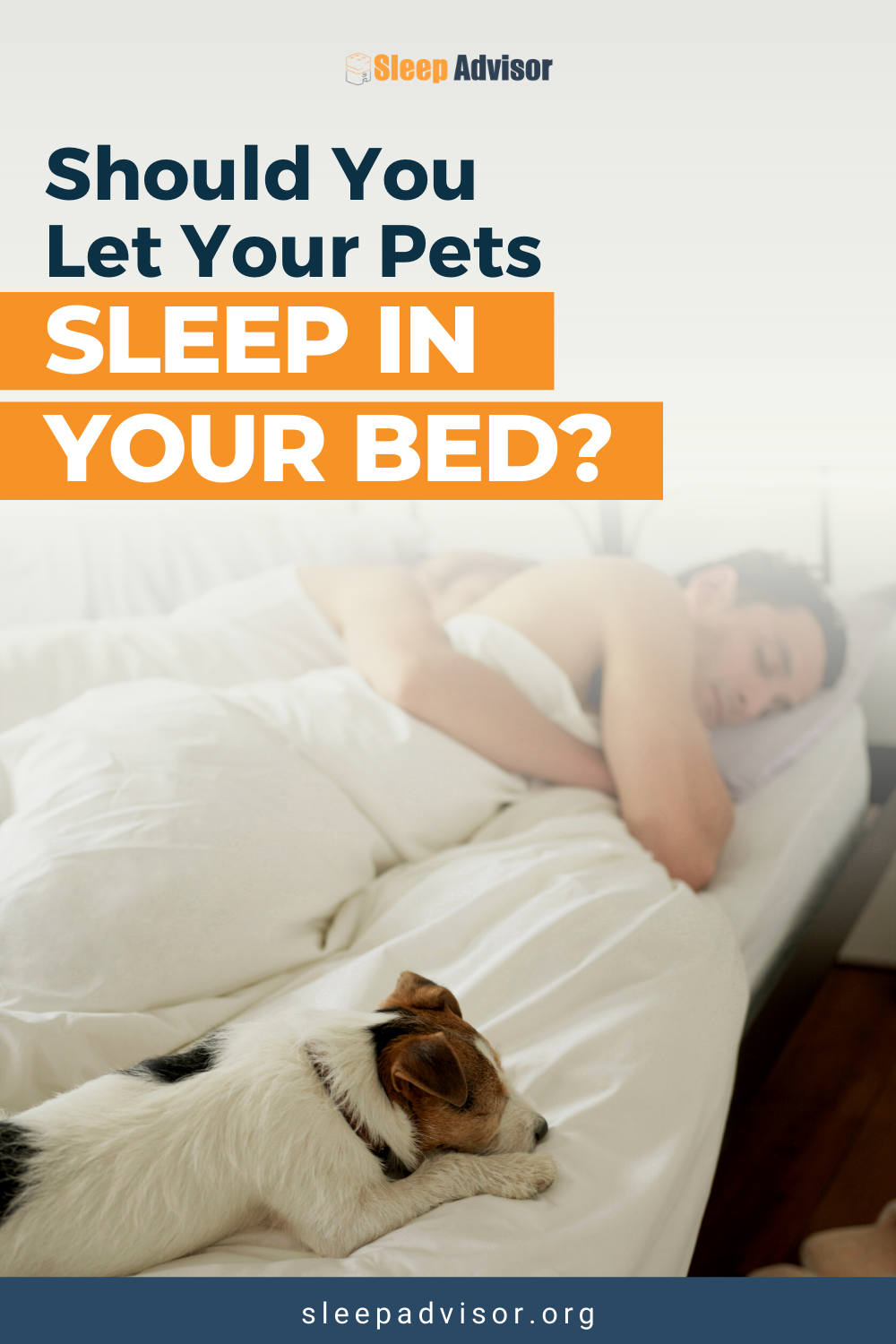 Sleeping with Pets - What Does Science Say? | Sleep Advisor