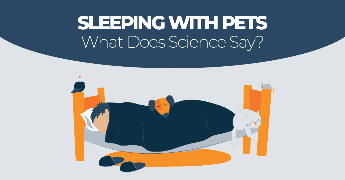 is sleeping with dogs unhealthy