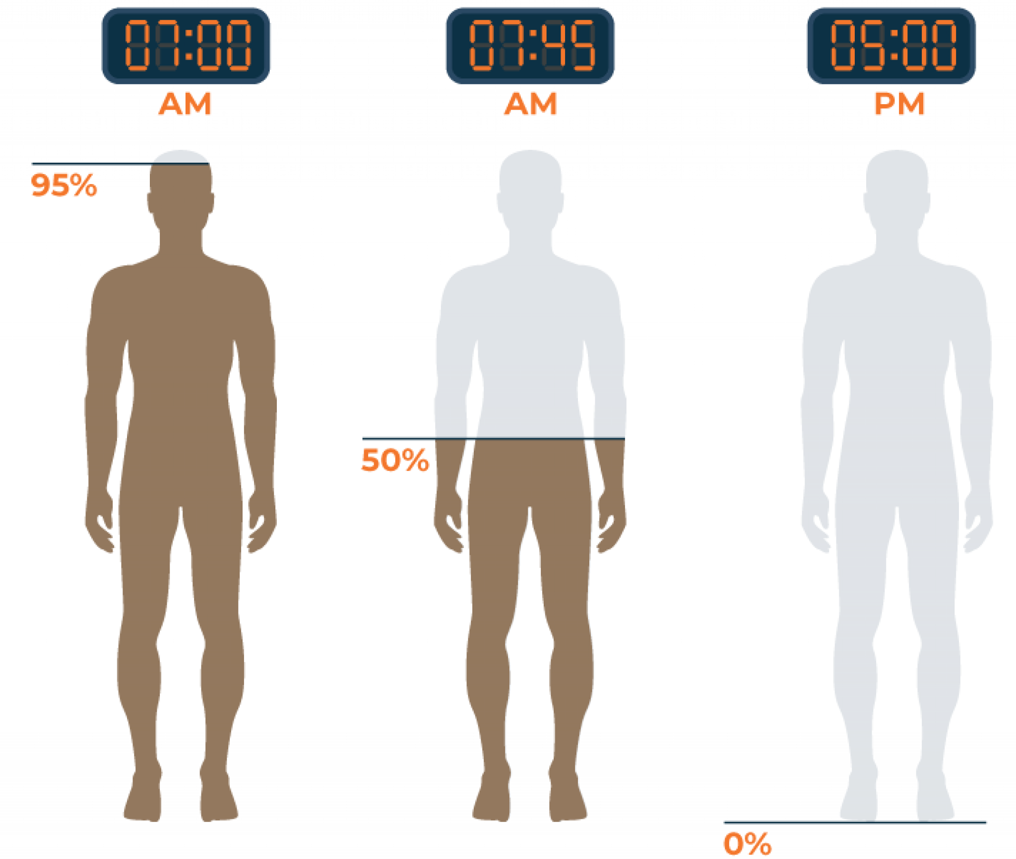 How Long Does Caffeine Stay In Your Body