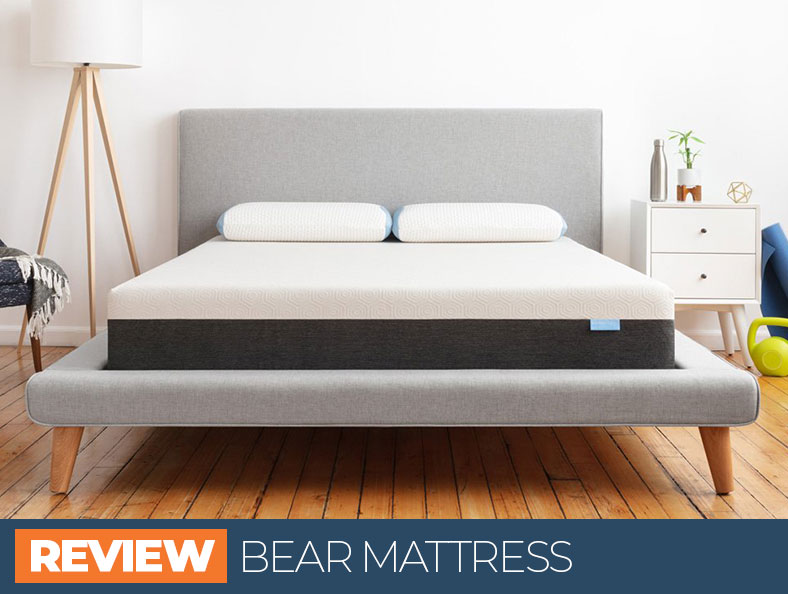 bear mattress full size
