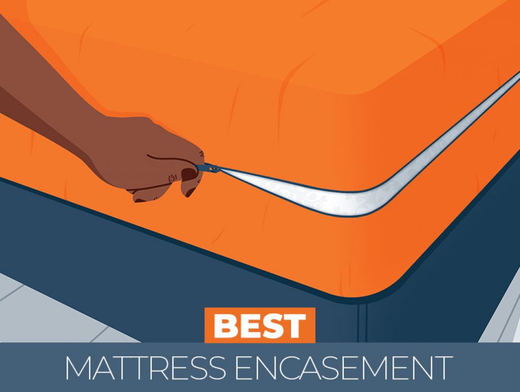 reviews of bed bug mattress encasement
