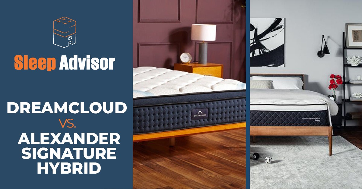 dreamcloud mattress vs alexander signature hybrid