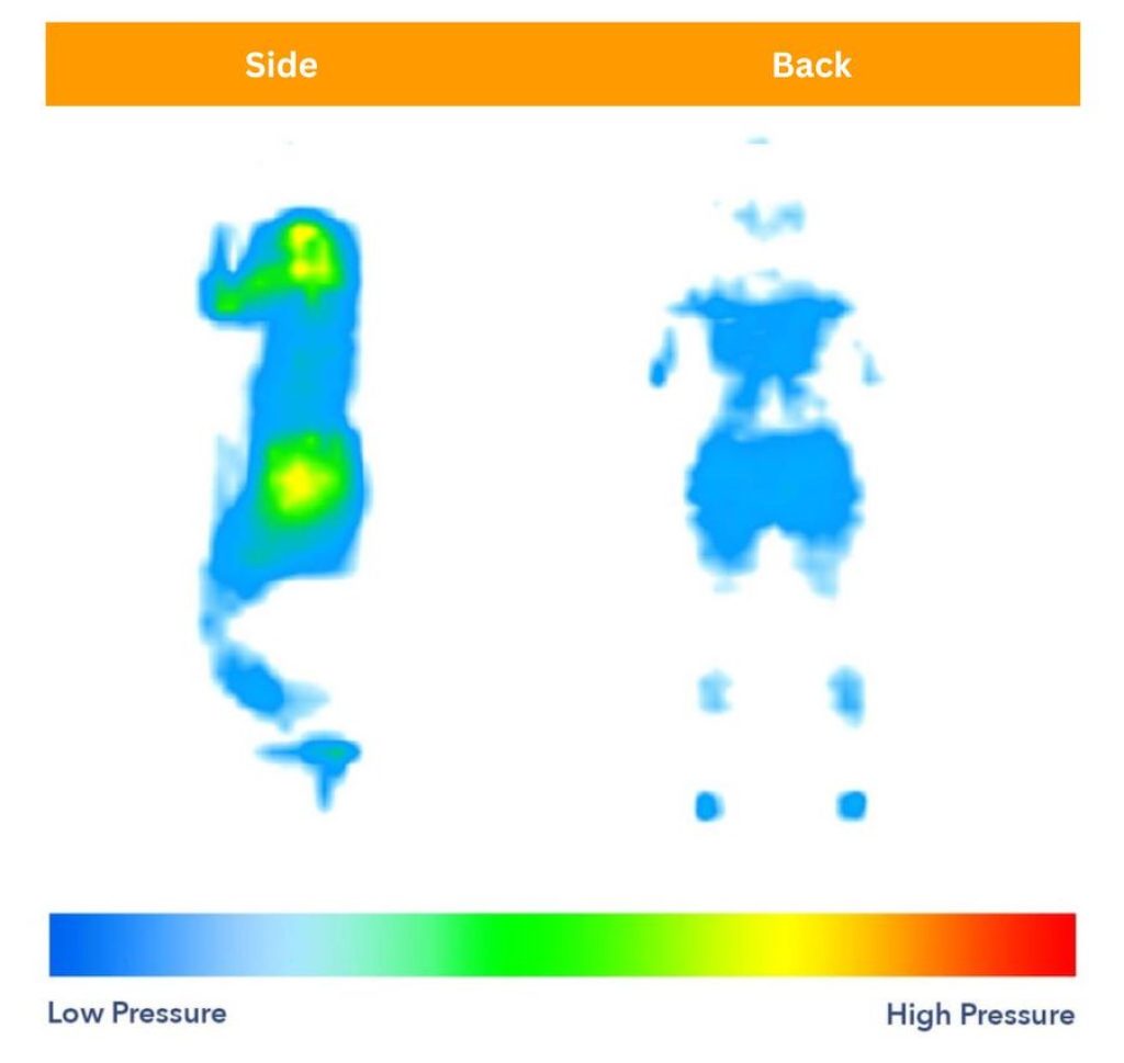 Saatva Latex Hybrid Mattress Pressure Testing