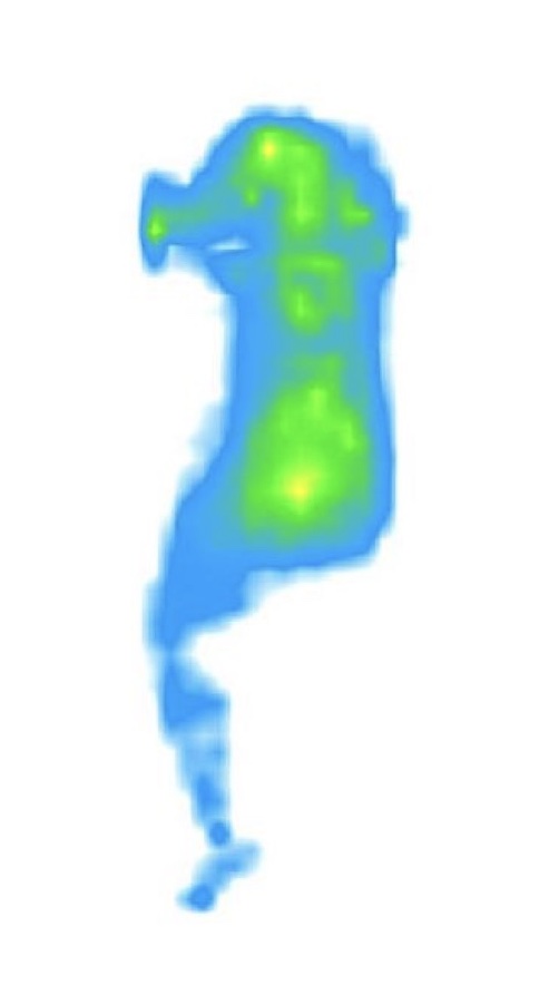 A pressure map showing a person side sleeping on the Nectar mattress