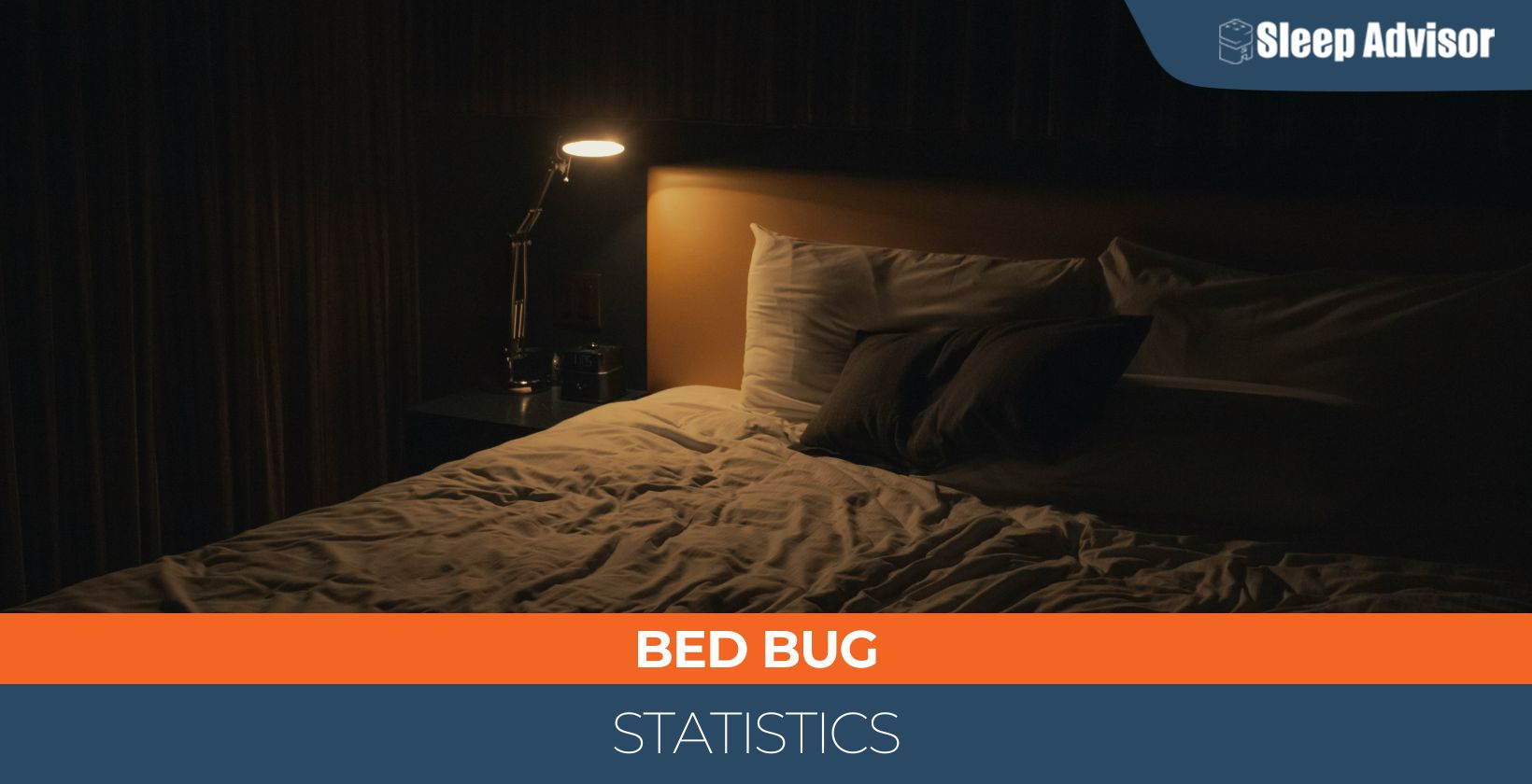 Bed Bug Statistics