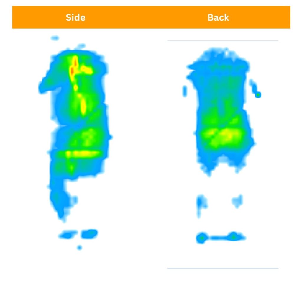 The pressure map for the Contour5
