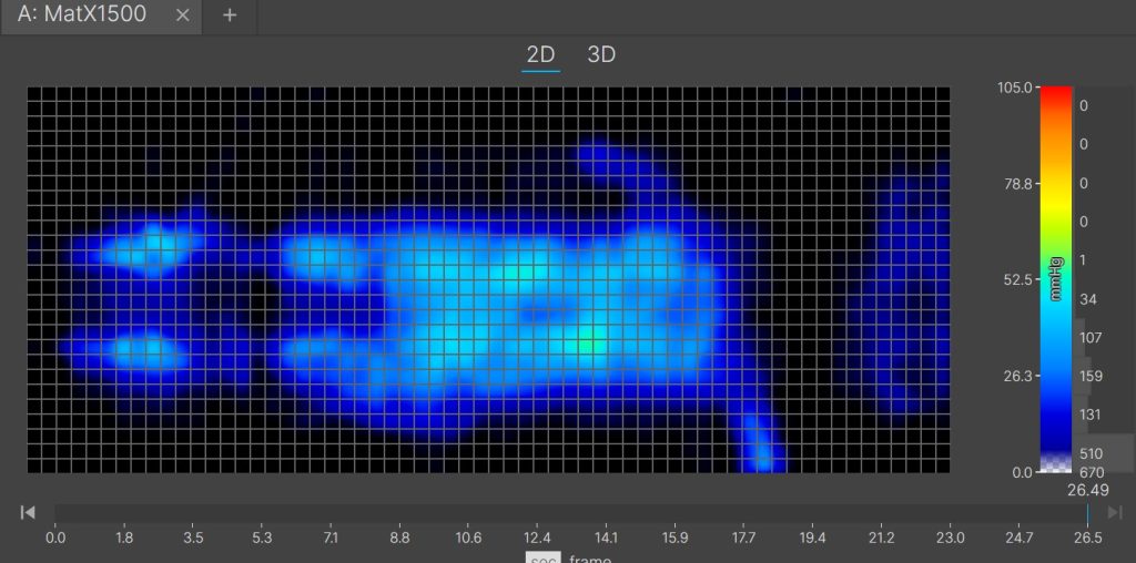 Emma Mattress Back Sleeping Pressure Map