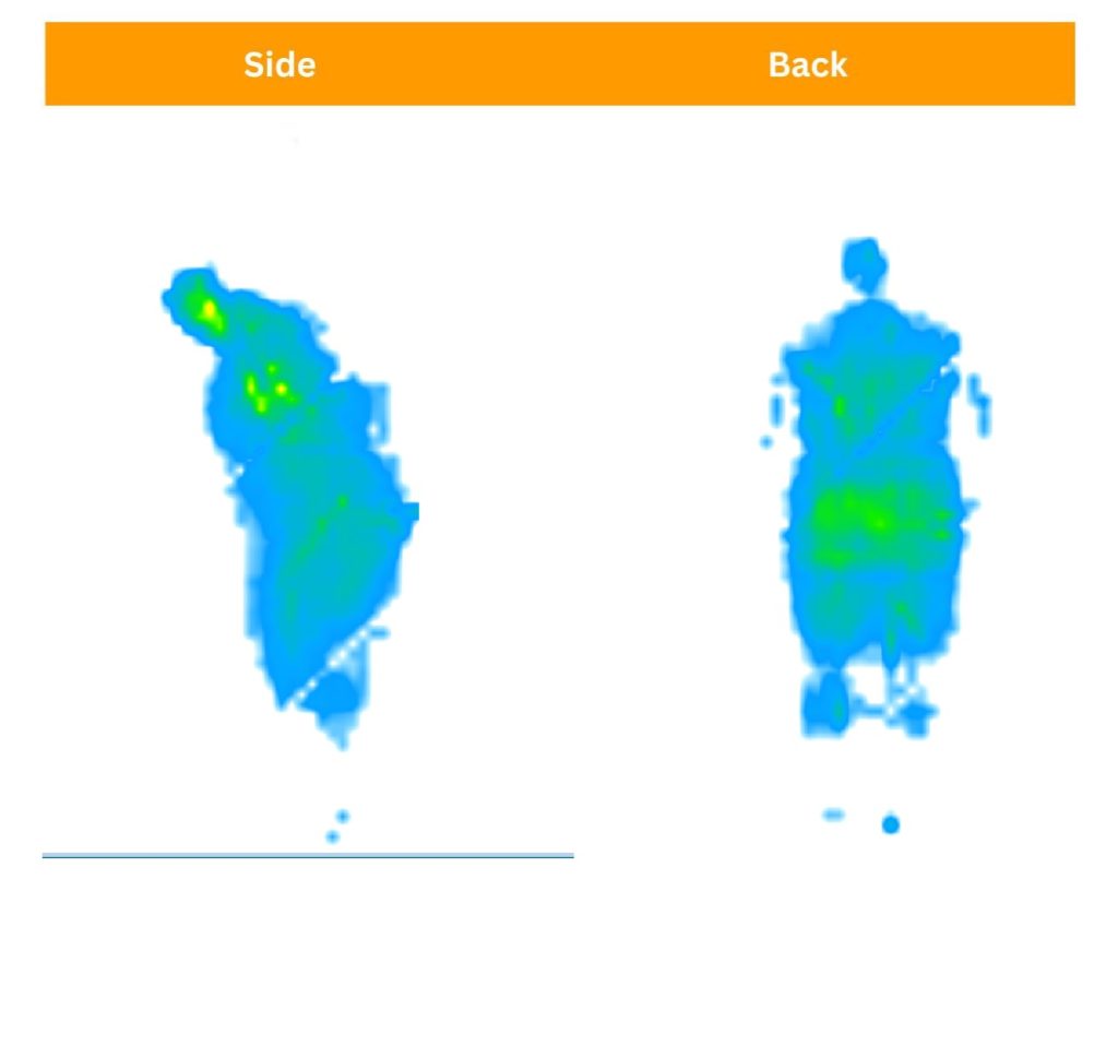 Nectar Luxe Hybrid Sosha pressure map