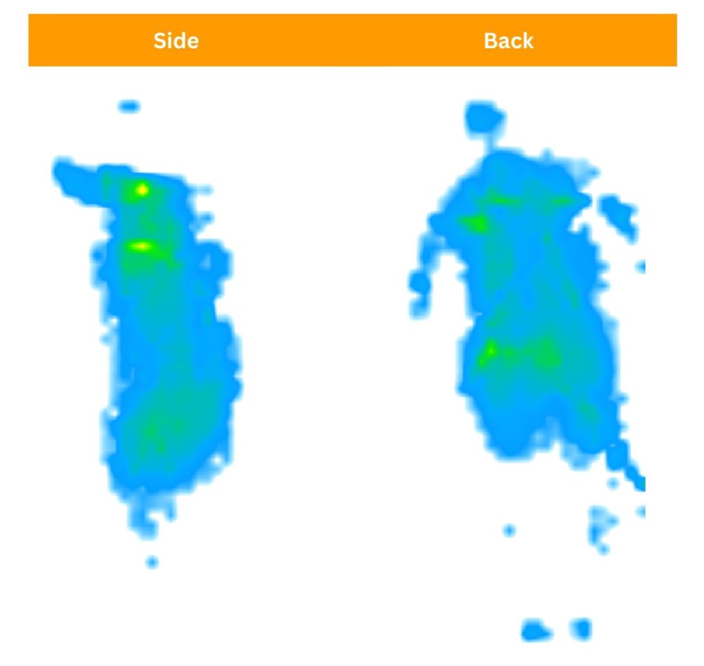 Nectar Premier Foam Sosha pressure maps