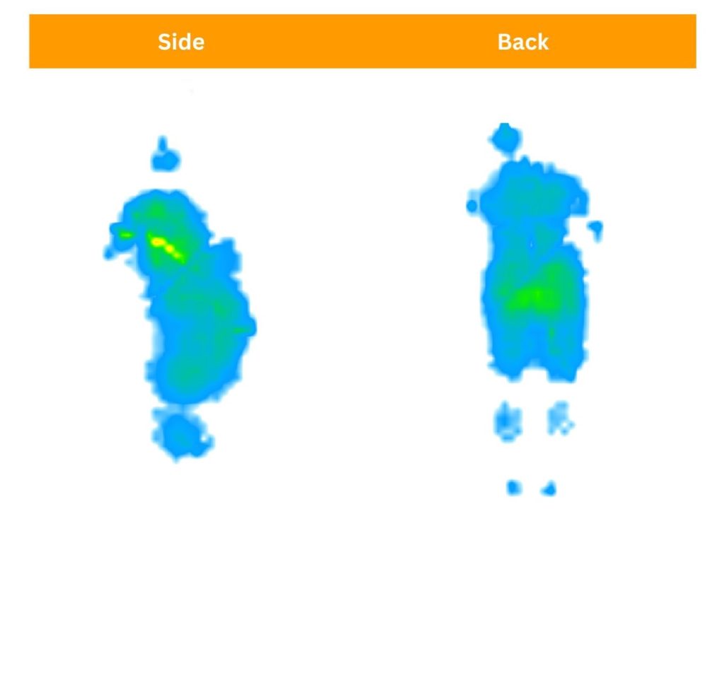 Nectar Premier Hybrid Pressure Map Sosha