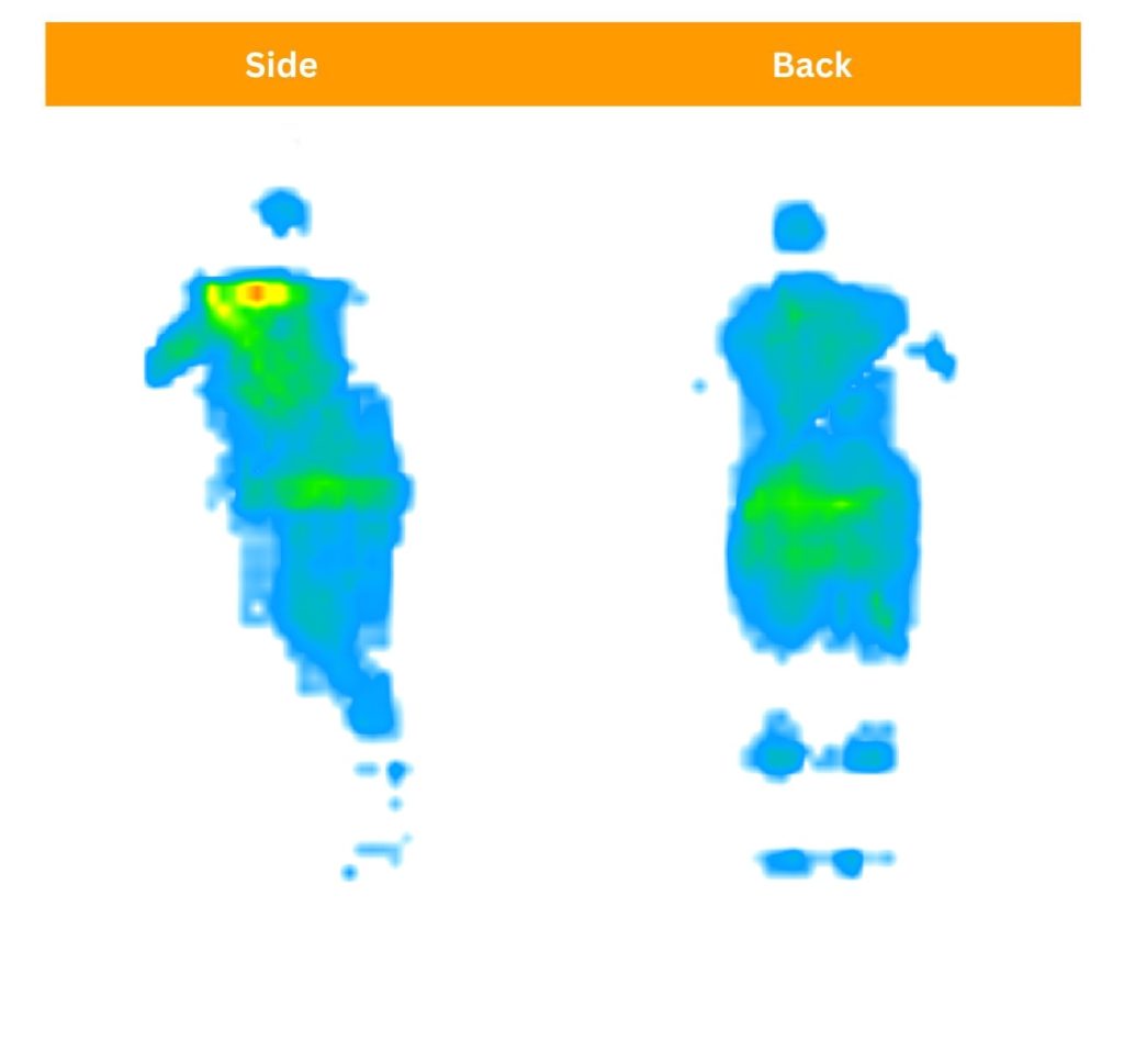 Sosha Nectar Classic Hybrid pressure map