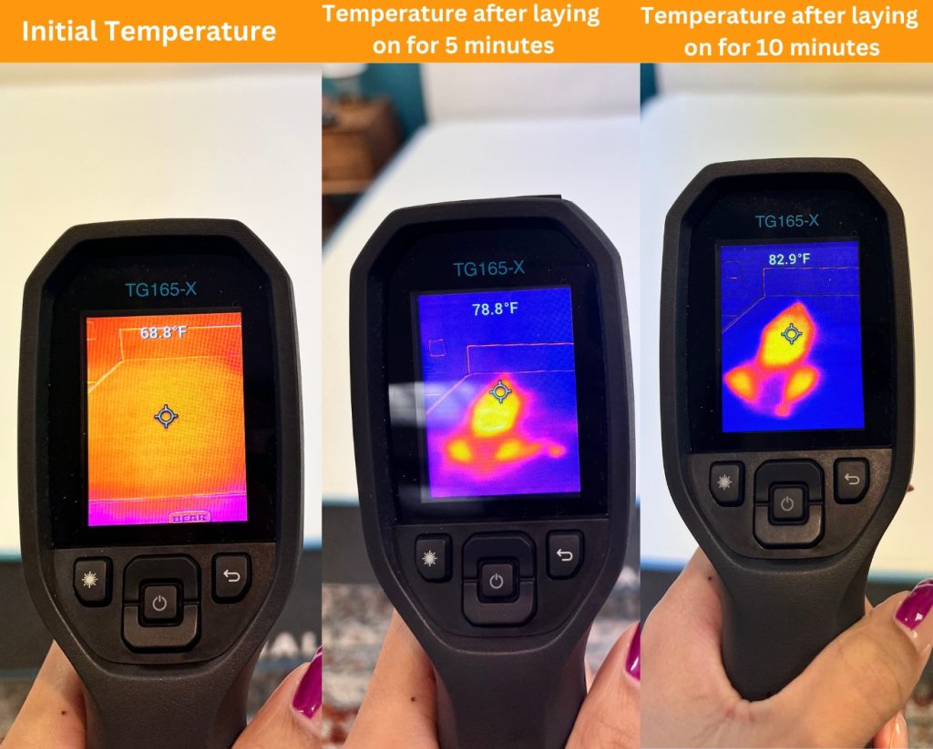 Bear Original temperature test