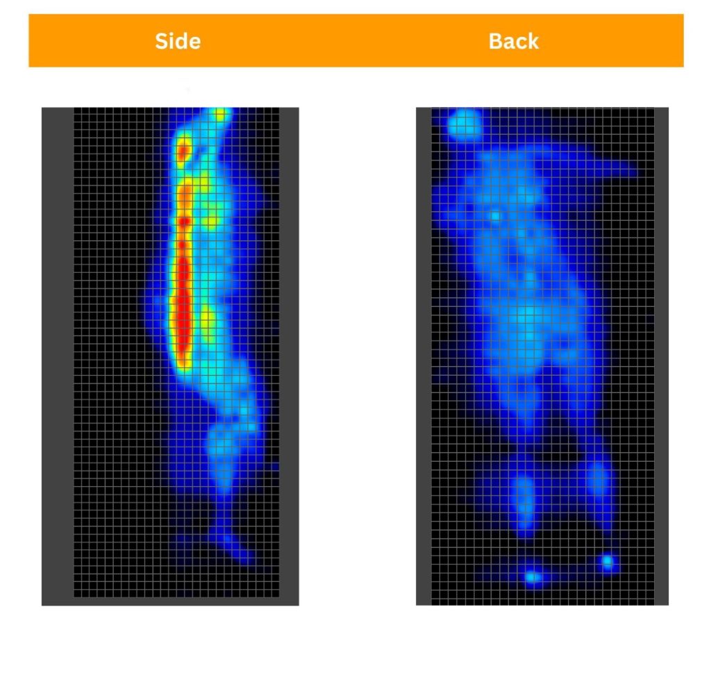 Birch Natural Sosha pressure maps